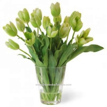 Букет тюльпанов "Зелёный сад"